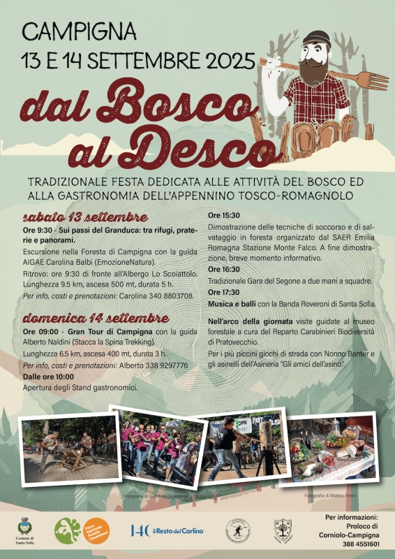 Dal bosco al desco